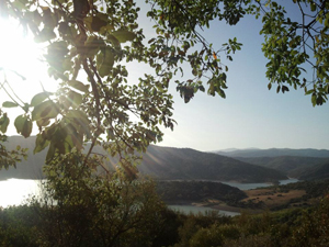 Castellar reservoir