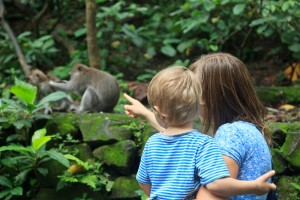 Zoo de Castellar