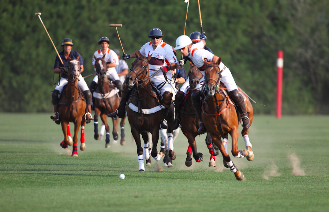 Polo team. Великобританское Конное поло. Поло на лошадях. Поло спорт. Игрок в поло.